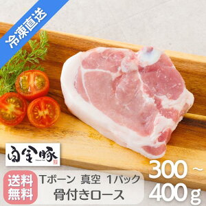 EⓀzy  T{[ 1 z Y 茧Y ؓ v`i|[N  uh  O Mtg 蕨 t [X ܂ Ԋk Ԋ |[NX