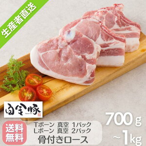 E①zy  T{[ 1  L{[ 2 Zbg z  uh ؓ Y 茧Y v`i|[N  t [X ܂ Ԋk Mtg  Xe
