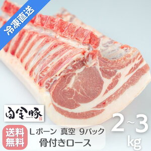 EⓀzy  L{[ 9Jbg z 2`3kg Y 茧Y ؓ v`i|[N  uh t [X ܂  O Mtg 蕨 Ԋk 