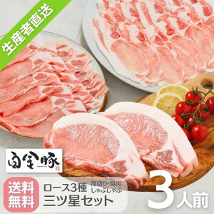 E①z y  [X OcZbg 3lO Jcp 120g×3 Ԃԗp 400g ēp 400g z Y 茧 uh  O Mtg 蕨 Ԋk Ԋ g