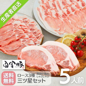 E①zy  [X OcZbg 5lO Jcp 120g×5 Ԃԗp 300g×2pbN ēp 300g×2pbN z Y 茧 uh  O Mtg 蕨 Ԋ
