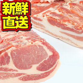 楽天市場 豚 岩手県産の通販