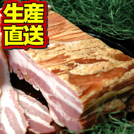 【送料無料・冷凍配送】白金豚 ベーコン ブロック 500g 国産 岩手県産 豚肉 銘柄豚 ブランド豚 プラチナポーク お取り寄せ グルメ ギフト 贈り物 花巻東北 花巻名物 ステーキ ポトフ パスタ バーベキュー