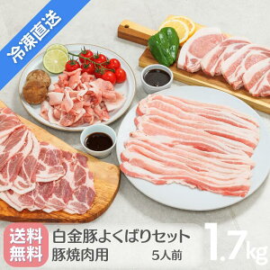 ���������E�Ⓚ�z���y ������ �ē� BBQ �悭�΂�Z�b�g 1.7kg 5�l�O �z �o���ē��p �J�^���[�X�ē��p �X���C�X���� �e400g ���[�X�X�e�[�L�p100g 5�� ���Y ��茧�Y �ؓ� �v���`�i�|�[�N ���� �u��