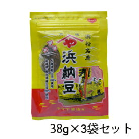 ヤマヤ醤油 浜納豆 38g×3袋セット 静岡県 浜松市 発酵食品 大豆 麹菌 徳川家康 北海道産大豆100％使用 長期発酵 熟成 無添加 大豆発酵食品 マクロビオティック 送料無料 メール便 ネコポス