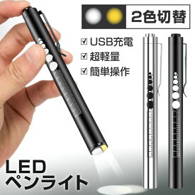 ペンライト 医療 医療用 LED USB充電 メディカル 歯科 歯科医 瞳孔 瞳孔計 看護師 看護 ナースグッズ ナースライト 懐中電灯 小型 介護 介護士 虫歯チェック 病院 デンタル 口腔 文具 検眼 2色切替 ノック式 定規メモリ付き 暖色 白色