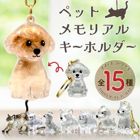 犬 毛 キーホルダー ペット 犬の毛収納キーホルダー 猫 ネコ うさぎ ウサギ 遺毛 メモリアルグッズ 透明 クリアキーホルダー キーチェーン キーリング 収納ボトル 犬の毛を入れる 猫の毛 ネコ毛 犬毛 トイプー 柴犬 コーギー かわいい