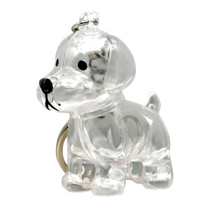   L[z_[ ybg ̖ю[L[z_[ L lR  ETM  AObY  NAL[z_[ L[`F[ L[O [{g ̖т L̖ l