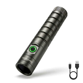 HAKOBAKU UV-X1 アニサキスライト 充電式 365nm 紫外線 ブラックライト 強力 UV LED ライト