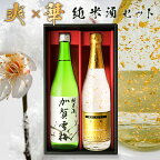 日本酒セット 金箔入り 飲み比べセット 加賀雪梅 金彩 中村酒造 720ml×2本 金粉 お酒 飲み比べ 石川県 金沢 [ グルメ 誕生日 内祝い 記念品 退職祝い 誕生日 記念日 母の日 父の日 ] 敬老ギフト プレゼント