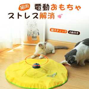 Lp d ] lC dlY~ L炵 ybgg[jO ˂ Lbg L lR ybgߋ LV Lpi d邮 L񋻕 LV L炵 LbggC 
