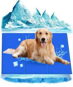 ybg}bg ̉ėp}bg ybg⊴}bg L  lpЂ}bg ybgpЂ}bg p}bg ⊴WF}bg pr ܂߂}bg M ΍ ėp ⊴~