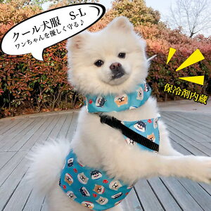 FULL COOL ^Ngbv N[ N[lbNoh u[ O[ sN N[[ ^ ^ ۗ Ђ N[ CM p ΍ tN[   t  lb