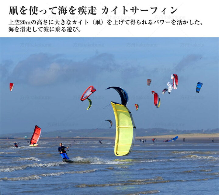 楽天市場】パワー凧 カイトサーフィン カイト たこ カイトボーディング 