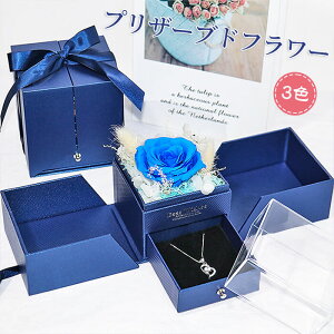 ̓ vU[uht[ {bNXt[ ̓ ސEj v|[Y v[g   j i  o^C zCgf[ ͂Ȃ ̓Mtg җj 