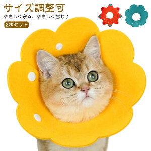 GUxXJ[ \tgtFg 2Zbg y L _炩 p PA p Dp    r h~ TCY   t[ q ی쏝rߖh~ ~