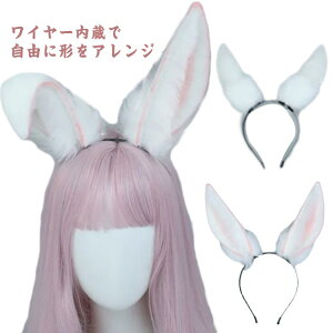 �e�� �J�`���[�V�� ������ �w�A�A�N�Z�T���[ �b�� ���C���[�����@�A�����W���݁@�o�j�[�K�[�� �R�X�v�� �J�`���[�V�� �n���E�B�� �p�[�e�B�[ ���� �ߑ� ���� �R�X�`���[�� �C�x���g ������