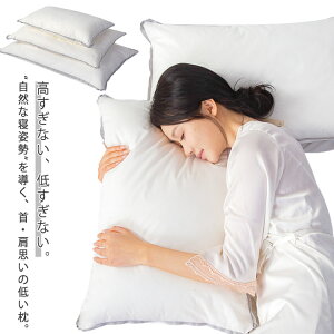 y2Zbgz Ⴂ ߖ ܂ 2-3cm   LbY qǂp lp ʋC   т тh~ 񂪒ɂȂȂ  ɃX2cm ⌨̕S炷  ꂵ