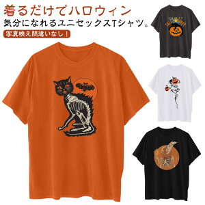 nEB TVc  fB[X Y L ڂ H RE 낢 yA gbvX  JWA  킢 ʔ gbvX lp  RX`[ ߑ 