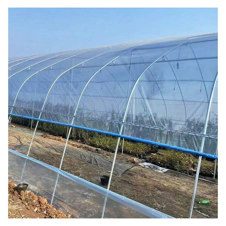 楽天市場】POフィルム 農業用ビニール 厚さ0.1mm×幅6m×長さ10m 