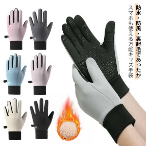 LbY  h N {At[X hO[u qp X|[cO[u ~ ^b`plΉ ʊw ] WjA j̎q ̎q h ۉ oR TCN ~ h X}z 