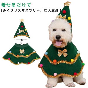 NX}Xc[ ybg  L ϑ RX`[ ߑ ybg蕨 Xq }g P[v NX}X hbOEFA ˂ j  ʐ^ f  NX}X T^ }g 