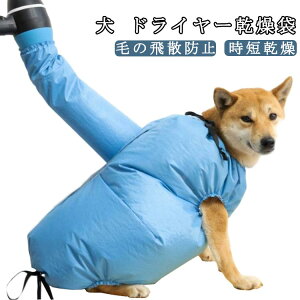  hC[ ybgp hC[ hC[obO C  P[X  ybg EGA EFA Ckp  Cオ ˂ hC[  hC