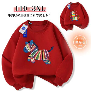 eq yAbN 2026N ߔN N Be  g[i[ XEFbg gbvX NсENтȂ n x  n n ʔ LbY q fB[X Y Ƒ  H~t 