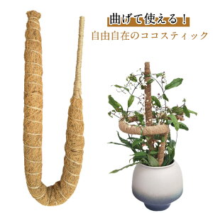 y6{ZbgzȂ RRXeBbN ϗtA x Xex RRibcx K[fjO |x AT|[g 鐫A |gX g}gΉ 60cm 70cm 80cm Ԃ X|[