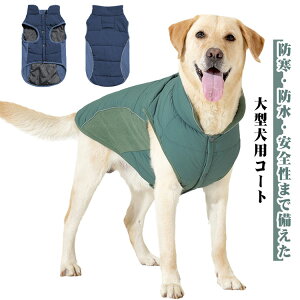  ̕ ^ R[gWPbg AE^[   ȃxXg g h  [ht _E hbOEFA ybgEFA R[g ~ t`uhbO uh[