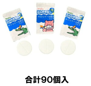 LVg[z l II ݂͂₳ 90i퉷zE㍞݁j \h ΍ zIȂ ɂȂ₷ ̒ Ȃ NȎ ނ `R{[