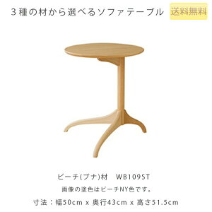 ˎY VIOLA BI \t@e[u TChe[u R[q[e[u 50cm C r[` zCgI[N EHibg WT109ST WN109ST WB109ST