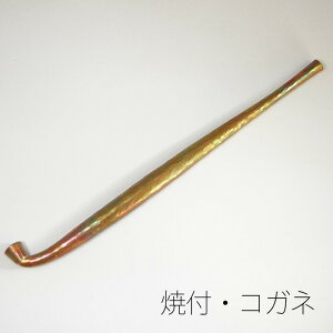 HƂԉɂč LZ   Ɩ ׉ 19.5cm i {