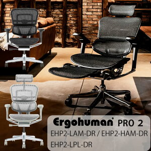 (Ki)y2025NV^fzGSq[} v2 ergohuman pro2 `FA rWlX`FA ItBX`FA LX^[ Ibg}L