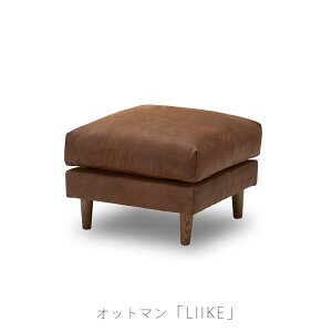 (Ki)rO_CjOƋ \t@ Ibg} U[ebNX k uE LIIKE ottoman [PIbg} NWLH m[EFACNz[