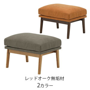 Ibg} u tbgXg Xc[ bhI[NC Jo[O U[t@ubN IC-061 IC-062 LEGACY qė