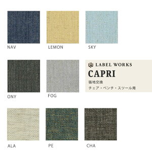 `FAELD`FAEx`EXc[pJo[ 􂢑ւ \ LABEL WORKS [x[NX Jv CAPRI