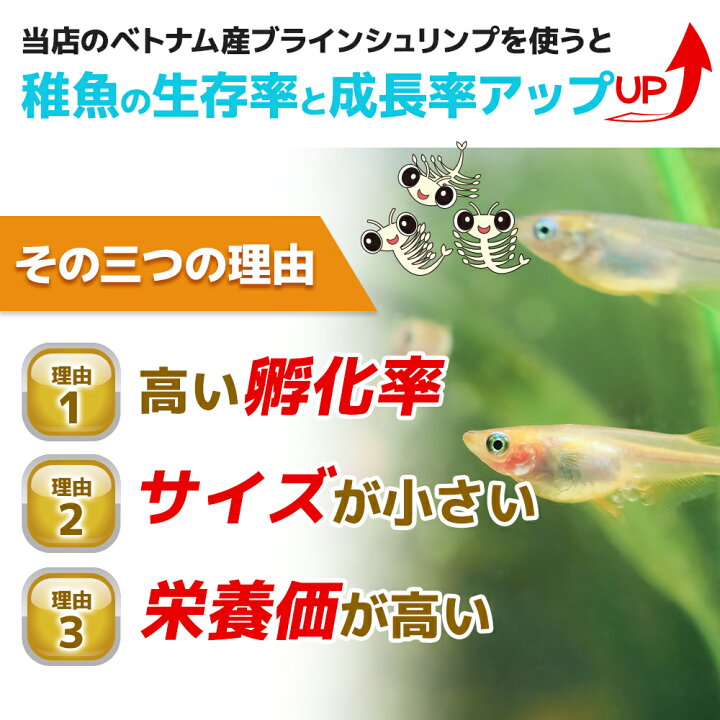 楽天市場 ブラインシュリンプ エッグ 425g 送料無料 ベトナム産 孵化率95 あす楽対応 12時までの注文でその日に発送 箱庭ショップ
