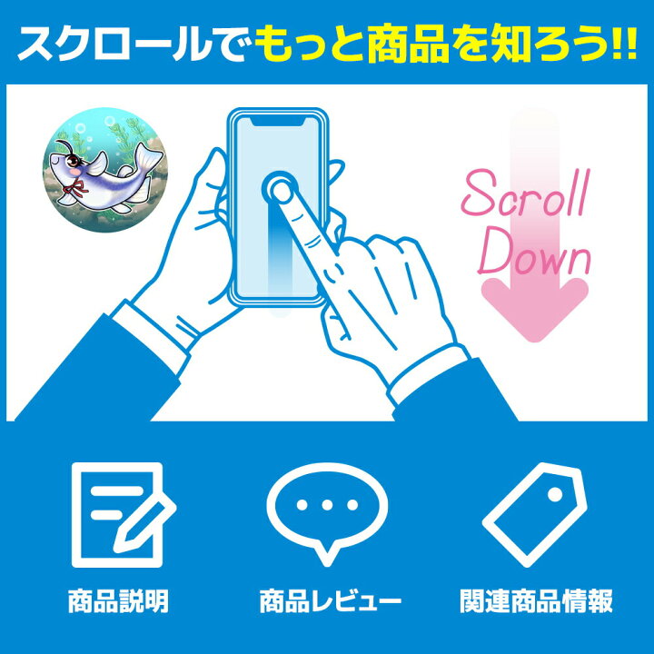 楽天市場 保障2匹付き メダカ オロチ 稚魚10匹 送料無料 多種多色 あす楽対応 12時までの注文でその日に発送 生体 種類 めだか セット 箱庭ショップ