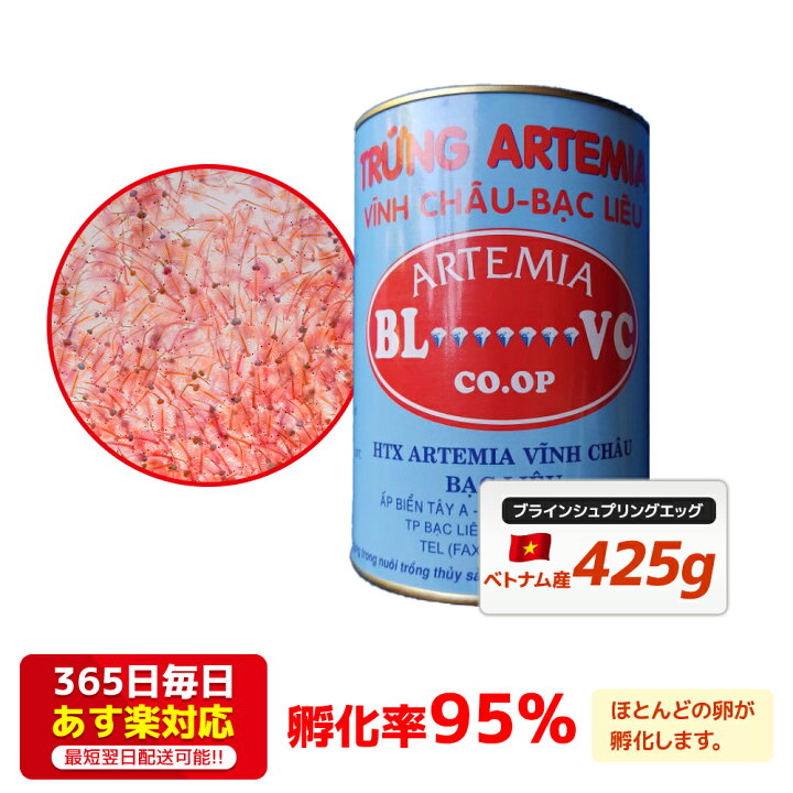 楽天市場 ブラインシュリンプ エッグ 425g 送料無料 ベトナム産 孵化率95 あす楽対応 12時までの注文でその日に発送 箱庭ショップ