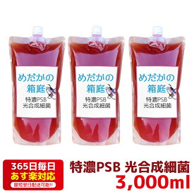 特濃PSB 光合成細菌 3000ml 送料無料 針子から稚魚に最適 あす楽対応 12時までの注文でその日に発送 水質改善や稚魚の生存率、成長率アップに！