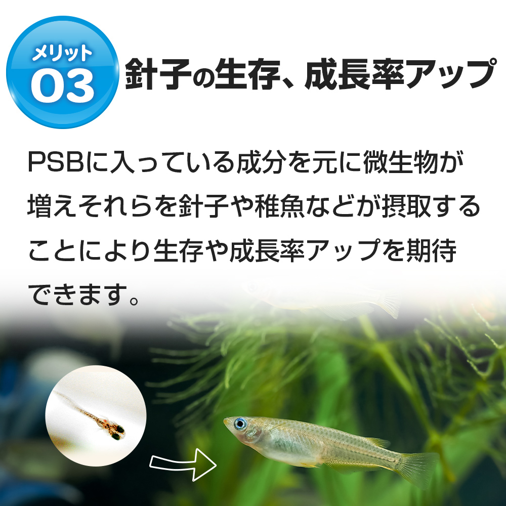 のぼり「リサイクル」 光合成細菌PSB30L用培養セット 関連:めだか金魚ミジンコクロレラAH 通販