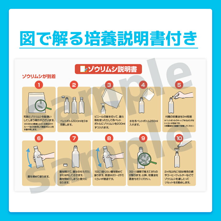 楽天市場 ゾウリムシ 600ml 送料無料 針子から稚魚に最適 あす楽対応 12時までの注文でその日に発送 生存率が違う 培養説明書付き 培養液付き 箱庭ショップ