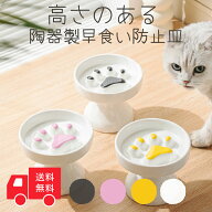 高さのある 早食い防止 皿 陶器製　食い防止皿 超小型犬 小型犬 猫 食器 皿 ごはん皿 エサ皿 ペットボウ…