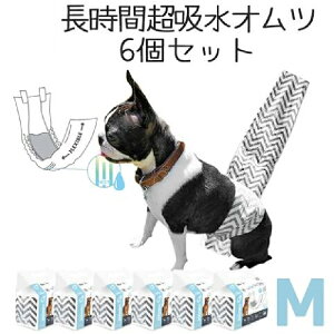 y10/24 20:00P5{z ^ Ic Jo[ j̎q  IX  }i[xg }[LOh~ VjA  YȂ M-PETS j̎qpIc MTCY 12y6ZbgPetifam