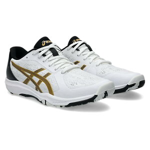 asics�i�A�V�b�N�X�j �싅 �V���[�Y �X�j�[�J�[ DYNAFEATHER �y�z���C�g/�u���b�N�z 1073A064.101 �싅 ����ɂ��� �����Y �j���p �V�� �� 25 {SK}