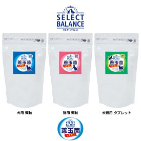 ●当日出荷●【P10倍】 （株）ベッツ・チョイス・ジャパン セレクトバランス乳酸菌ゴールド 犬用 猫用 顆粒 タブレット 300g 犬用品 猫用品 ドックフード 4541851003735 4541851003742 4541851003759 ｛NP}S