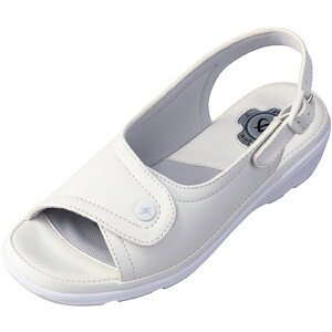 DAIMATUi_C}cj Pure WalkerisAEH[J[j ItBXT_ vtFbVi yzCgz PW8501 2 fB[X p q[4cm Ռz ÓdCh~ \ JWA V