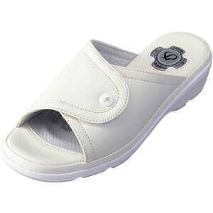 DAIMATUi_C}cj Pure WalkerisAEH[J[j ItBXT_ vtFbVi yzCgz PW8511 2 fB[X p q[4cm Ռz ÓdCh~ \ JWA V