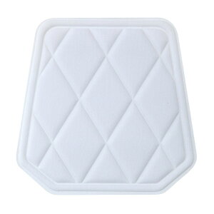 DESCENTEifTgj 싅 ANZT[ qbvpbhij5Zbg ySzCgz Y C025S SWHT {NP}